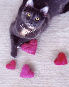 [la104506_0209_catnphearts_l.jpg]