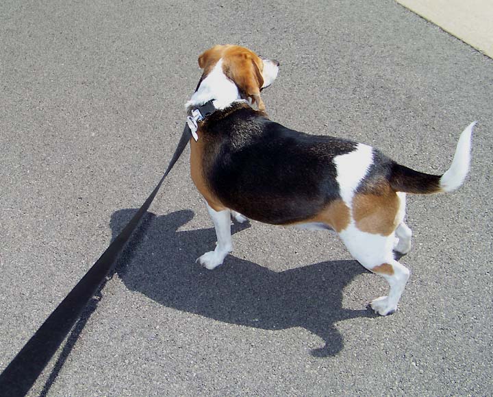 [Lilly.shadow.2.jpg]