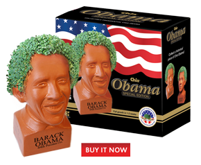 [happy-chia-obama-290_buynow.png]
