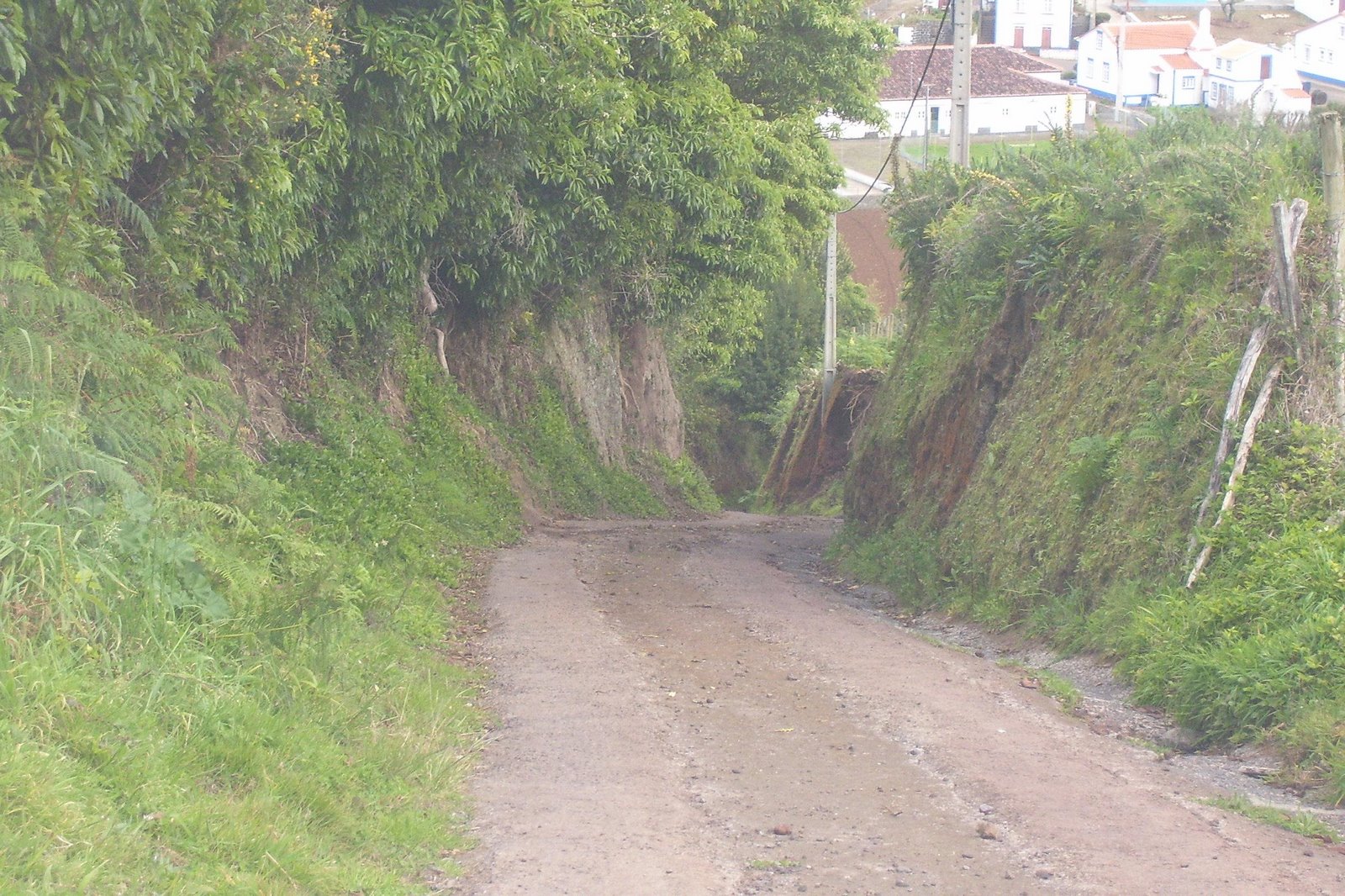 [Caminho+Fundo+1.JPG]