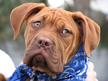 HOOCH