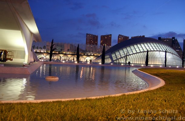 [IMG_7438.jpg]