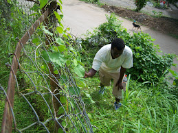 Daniel chopping the school yard