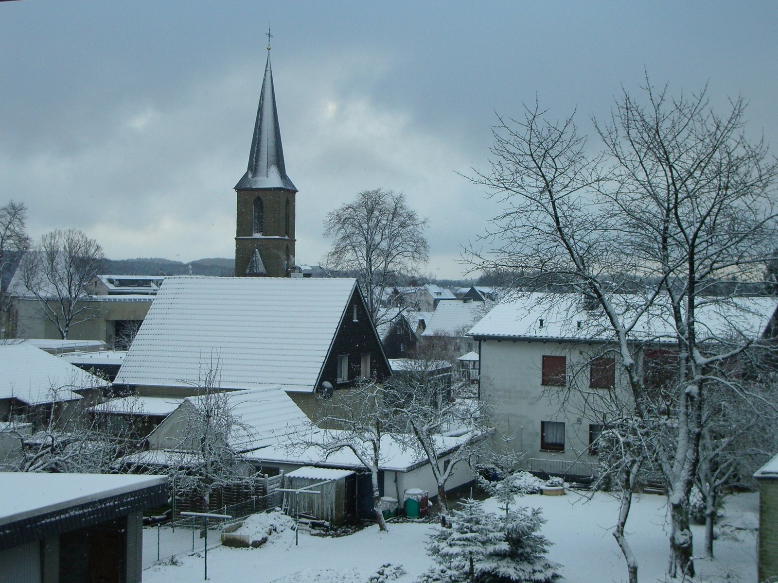 [20.11.2008+3.JPG]