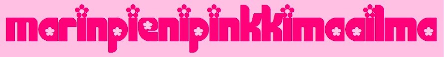 MarinPieniPinkkiMaailma