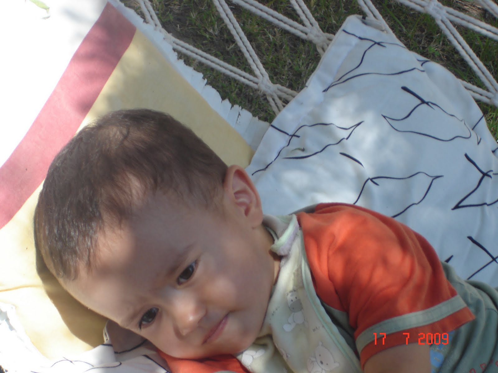 [DSC03885.jpg]