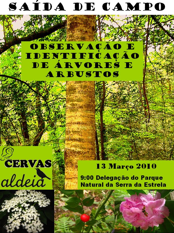 [arvores_arbustos_web.jpg]