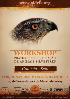 [WorkRecup_VI_300.jpg]