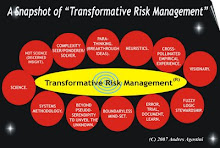 Andres Agostini's "Transformative Risk Management"