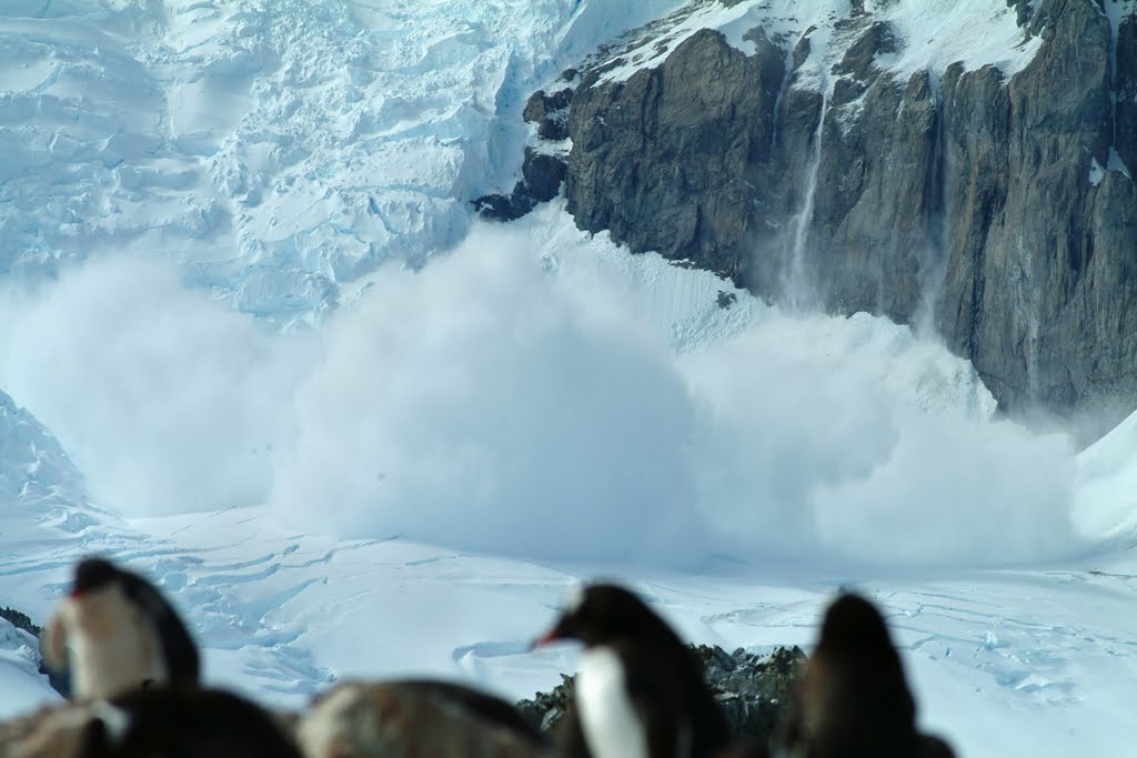 [Avalanche_web_0176.jpg]