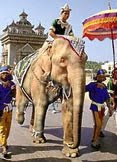 White Elephant