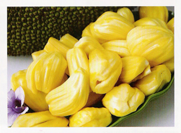 nangka, Buah Nangka Mengandung Banyak Zat Gizi