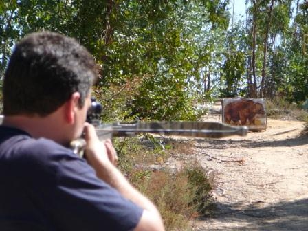 [Mirada_no_Urso.JPG]