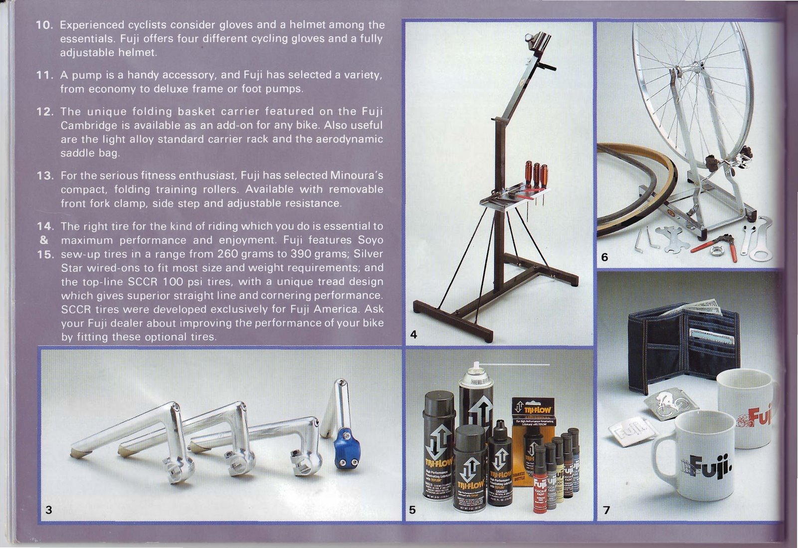 [Fuji+Catalog_Page_31.jpg]