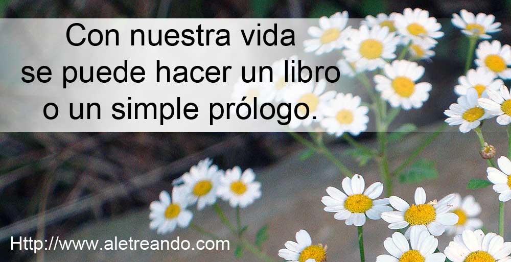 Haiga 俳画: Un libro de haikus escritos en Argentina Haiga 俳画: Un libro de haikus escritos en Argentina