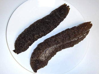 Japanese sea cucumber on plate