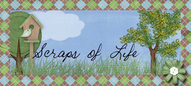 Scraps of Life