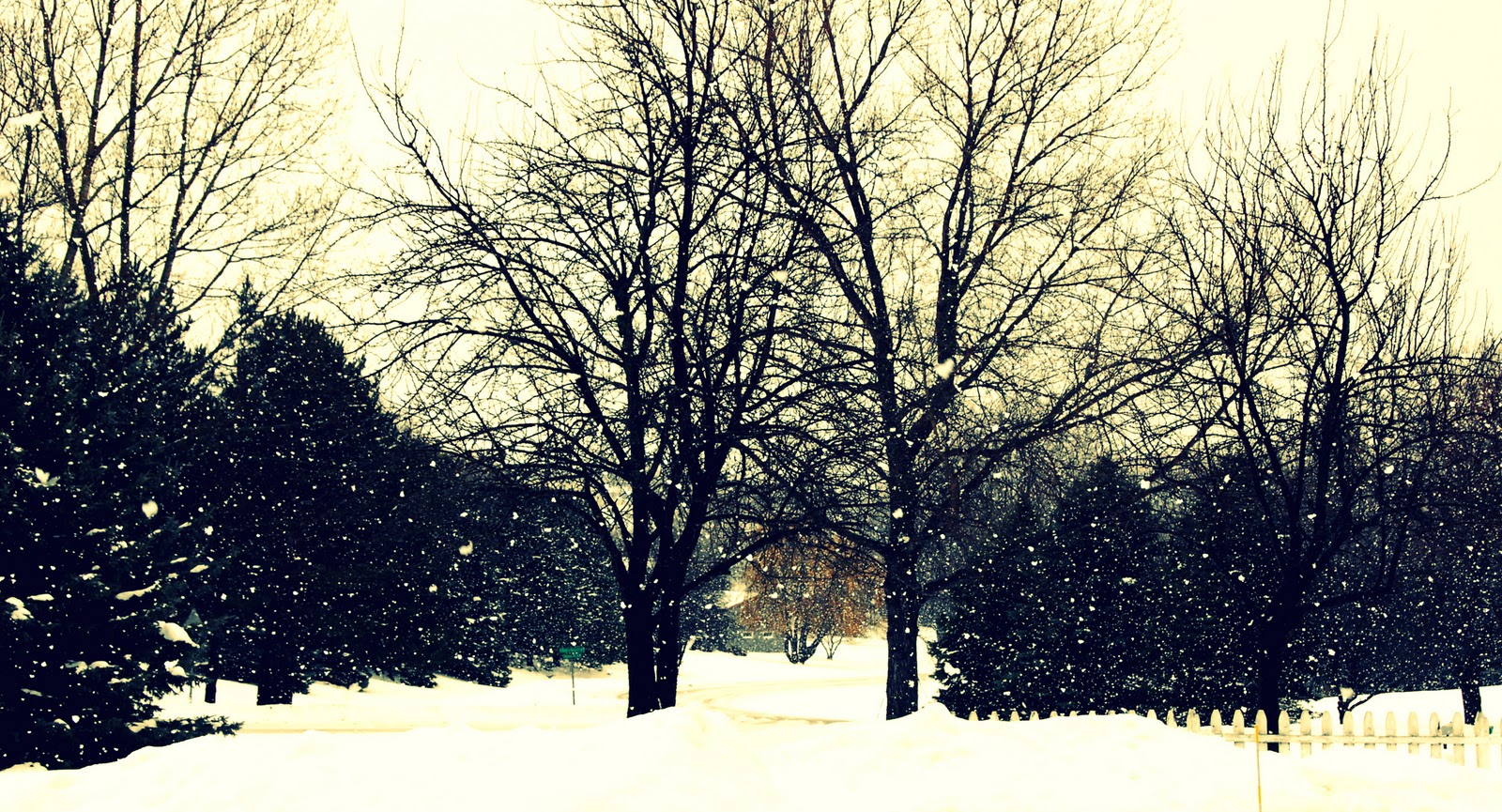 [editcrossprocess_0888.jpg]