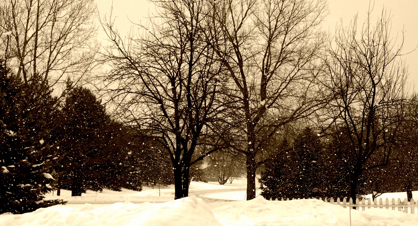 [editsepia_0888.jpg]