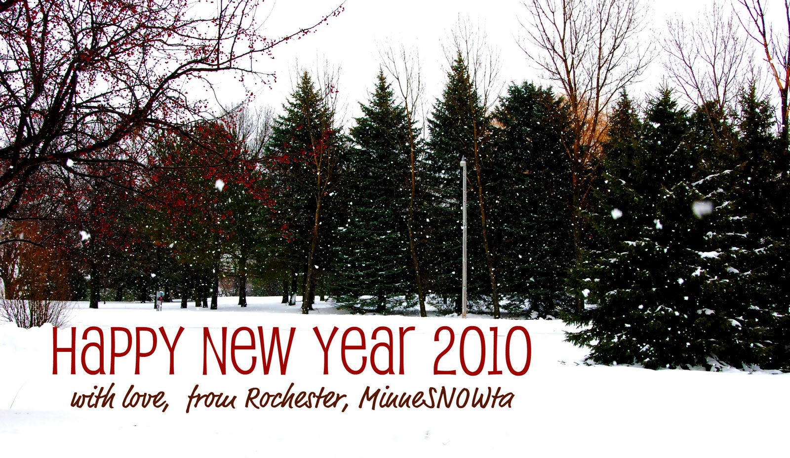 [newyeartrees_0889.jpg]