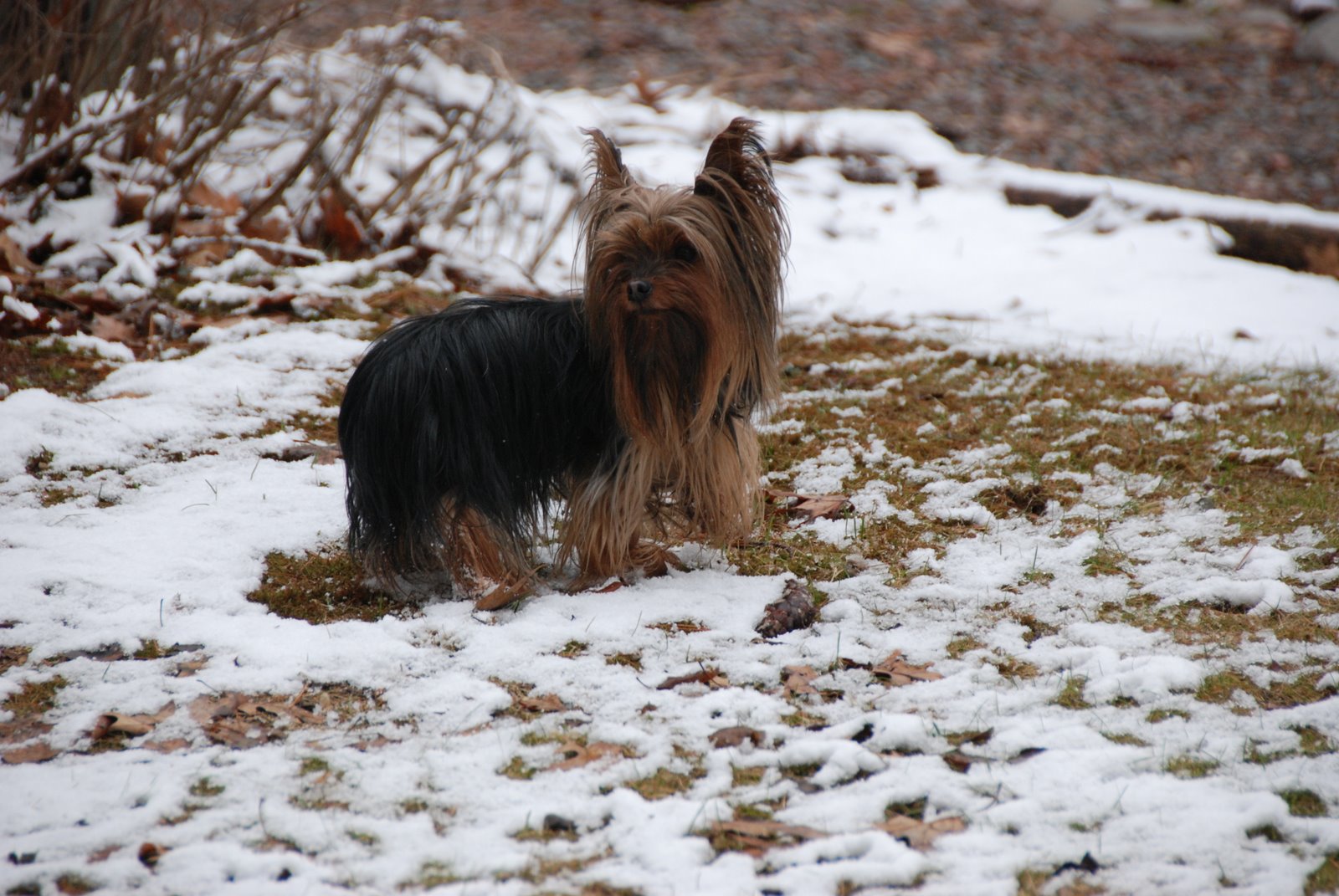 [Friday,+april+25+029.jpg]