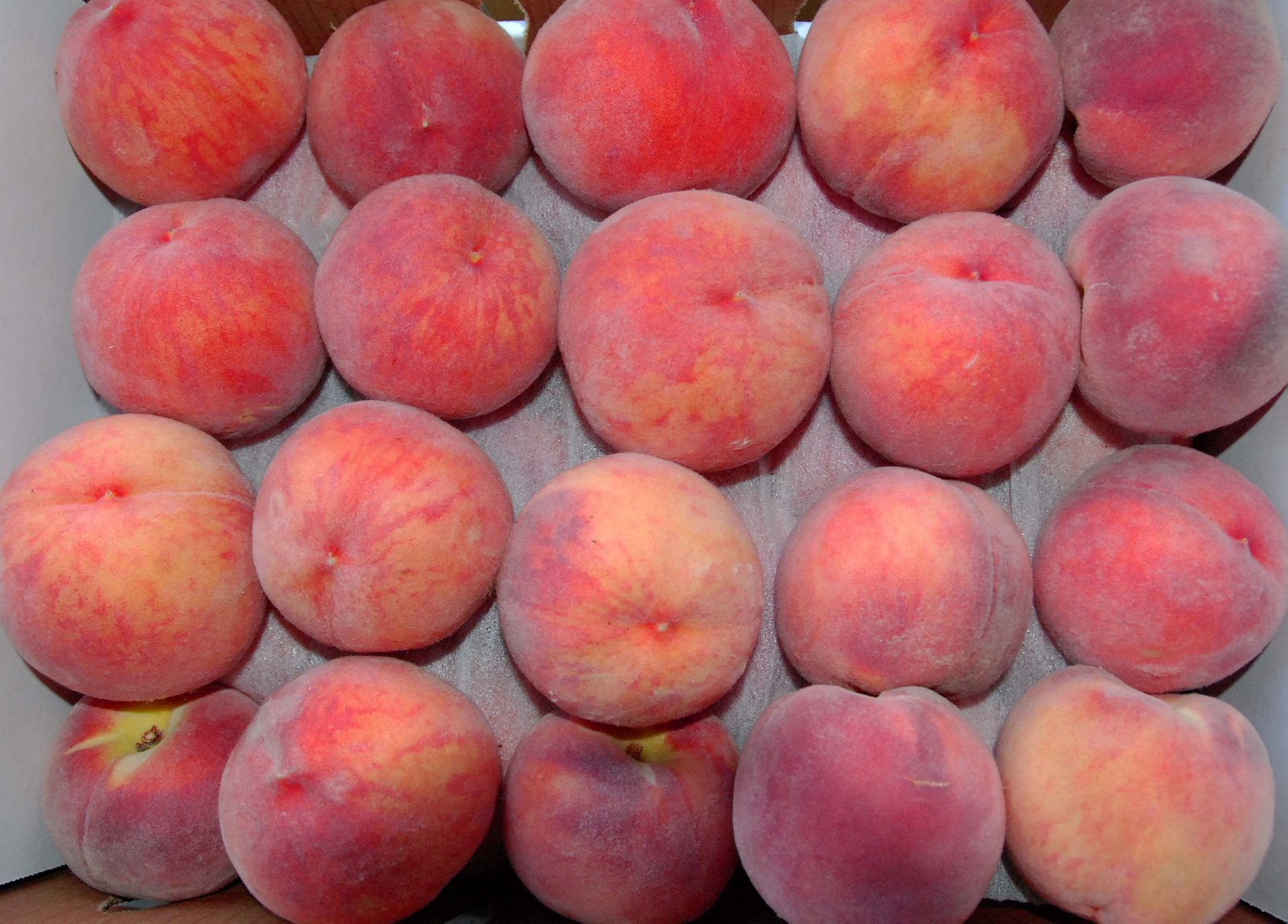 [lug+of+peaches.jpg]