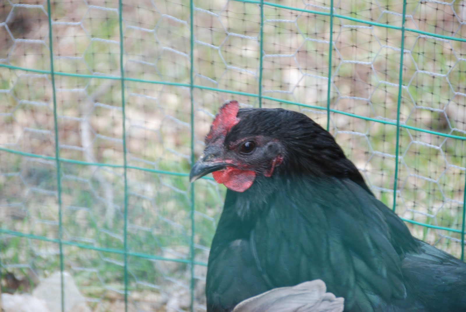 [Wednesday,+april+30+014.jpg]