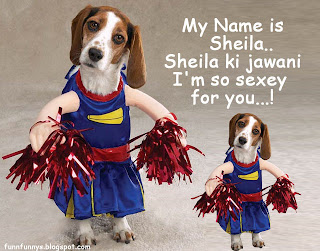 Sheela Ki Jawani