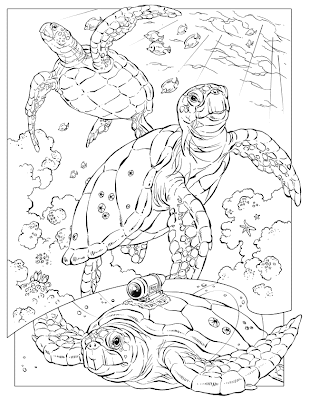 Adult Coloring Pages Animals