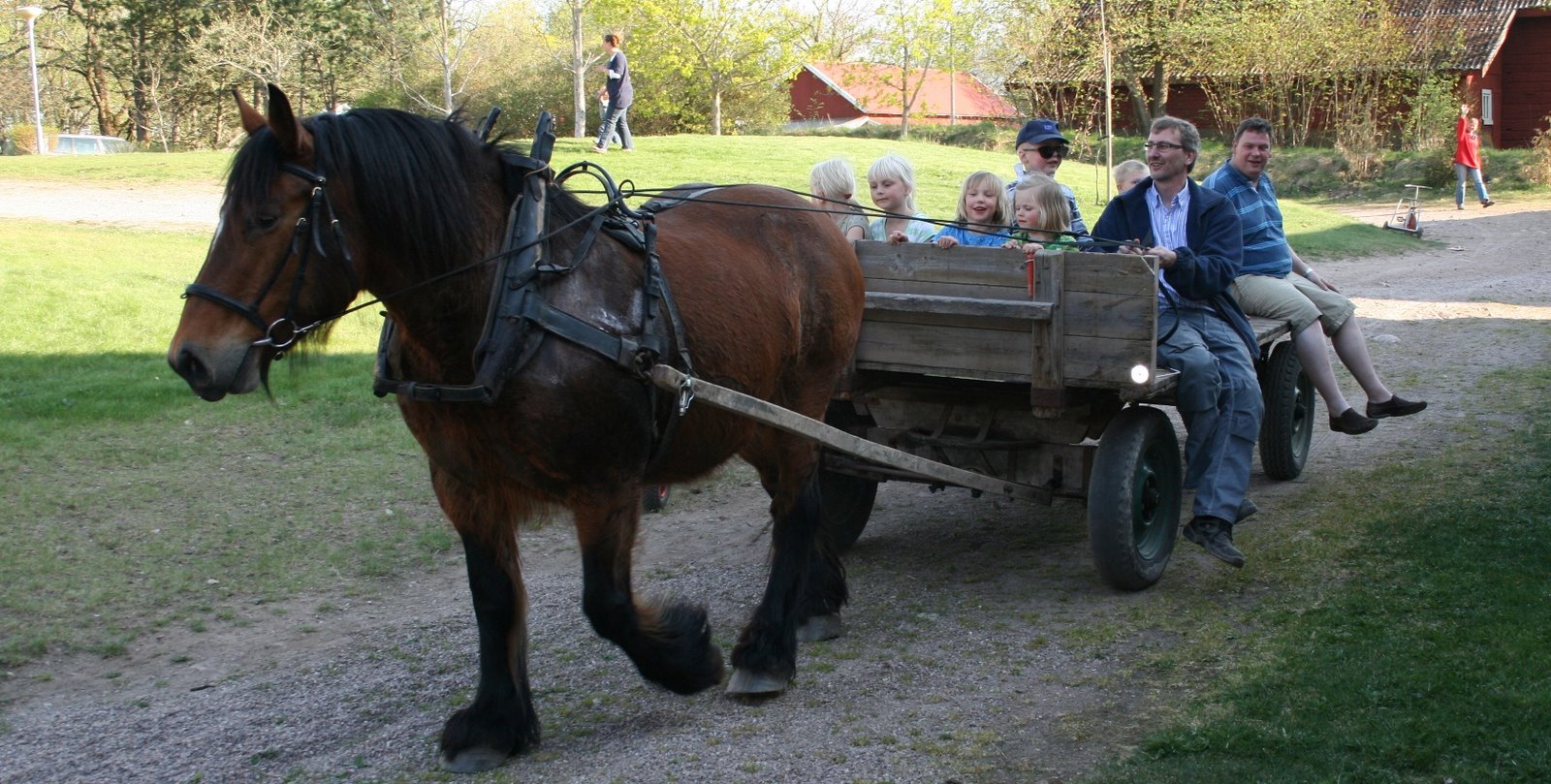 [IMG_2946.JPG]
