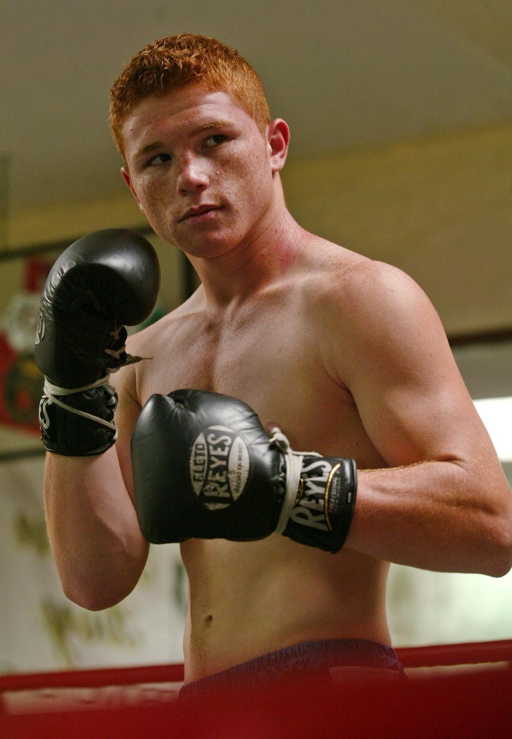 [Canelo.jpg]