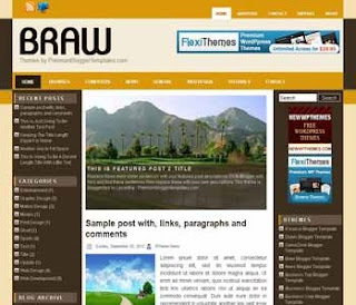 Braw Blogger Template