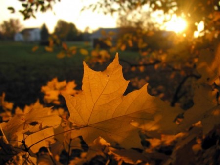 [3514220_7cf105a4[1].jpg]