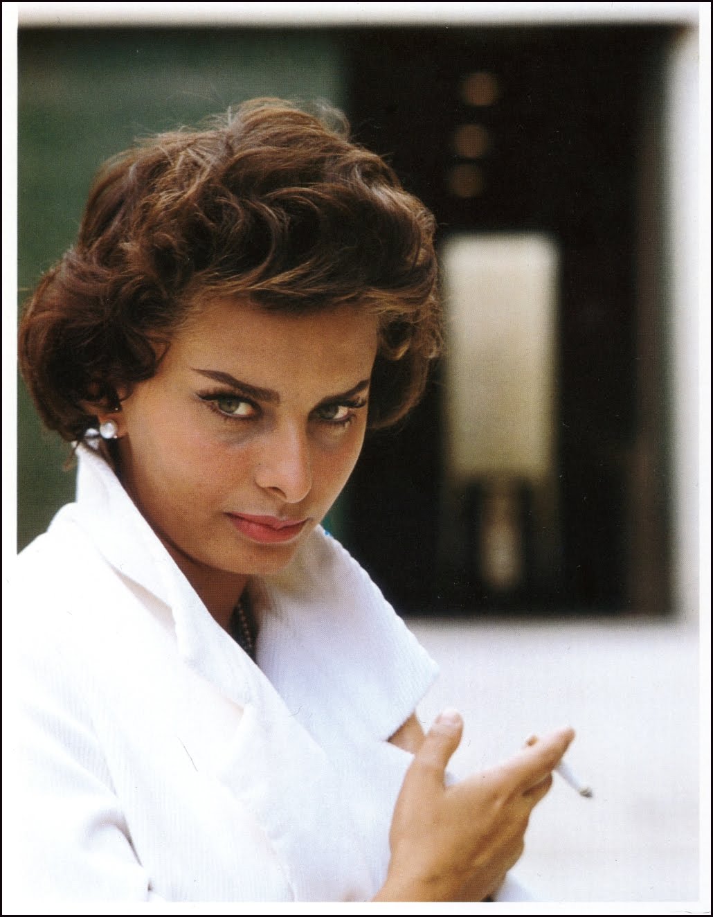 http://4.bp.blogspot.com/_PB-O1yT5EYg/S_c0tCZ276I/AAAAAAAA8dA/90OcfrW_OEQ/s1600/1958_johnbryson_sophia.jpg