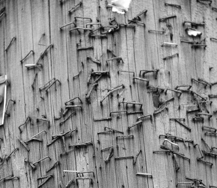 Blue Wave Pix Old Staples