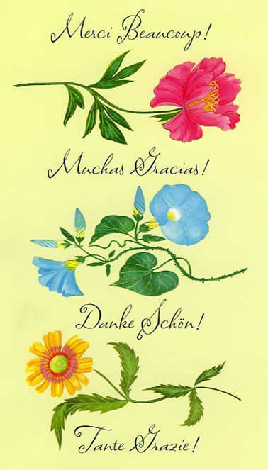 thank you images flowers. thank you images with flowers. thank you images flowers.