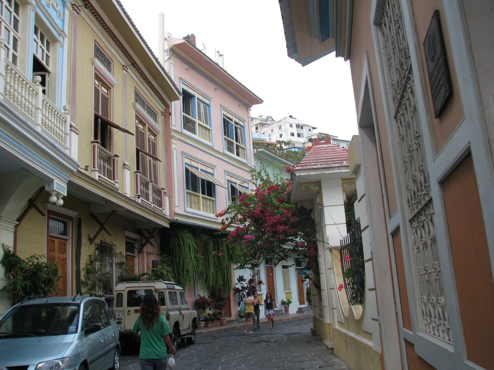 [IMG_2142.jpg]