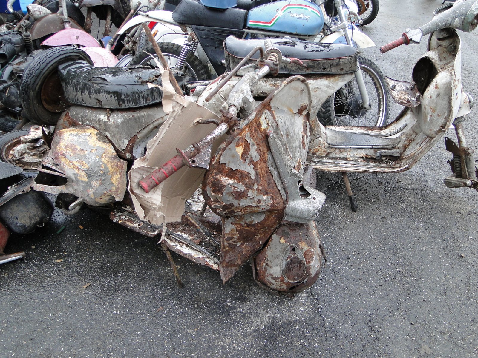 DSC06784.JPG