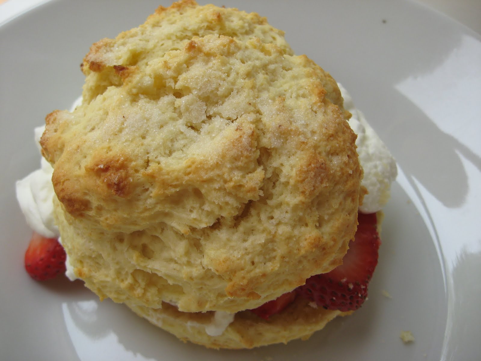 she's in the kitchen strawberry shortcakes with sweet buttermilk biscuits