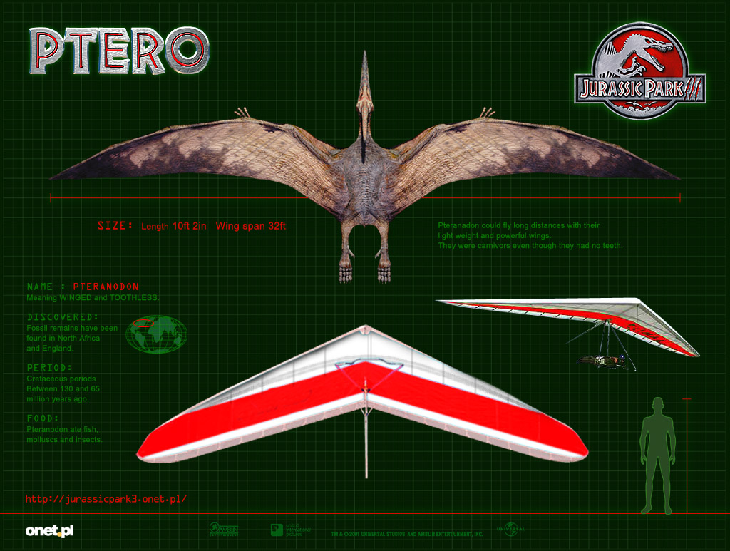 Pteranodon+jp+3.jpg