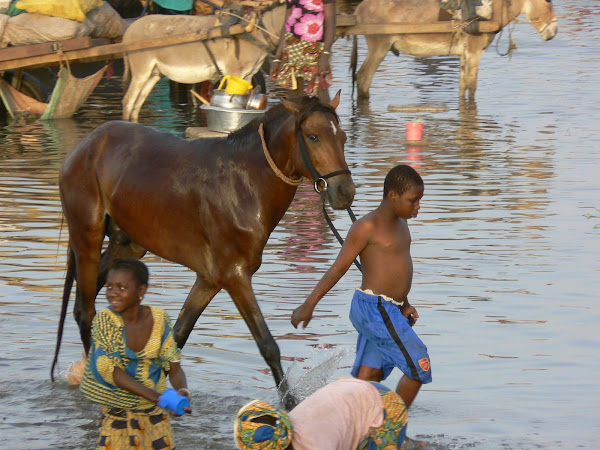 Horse and Boy