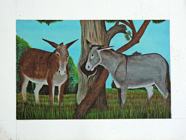 Botswana Donkeys