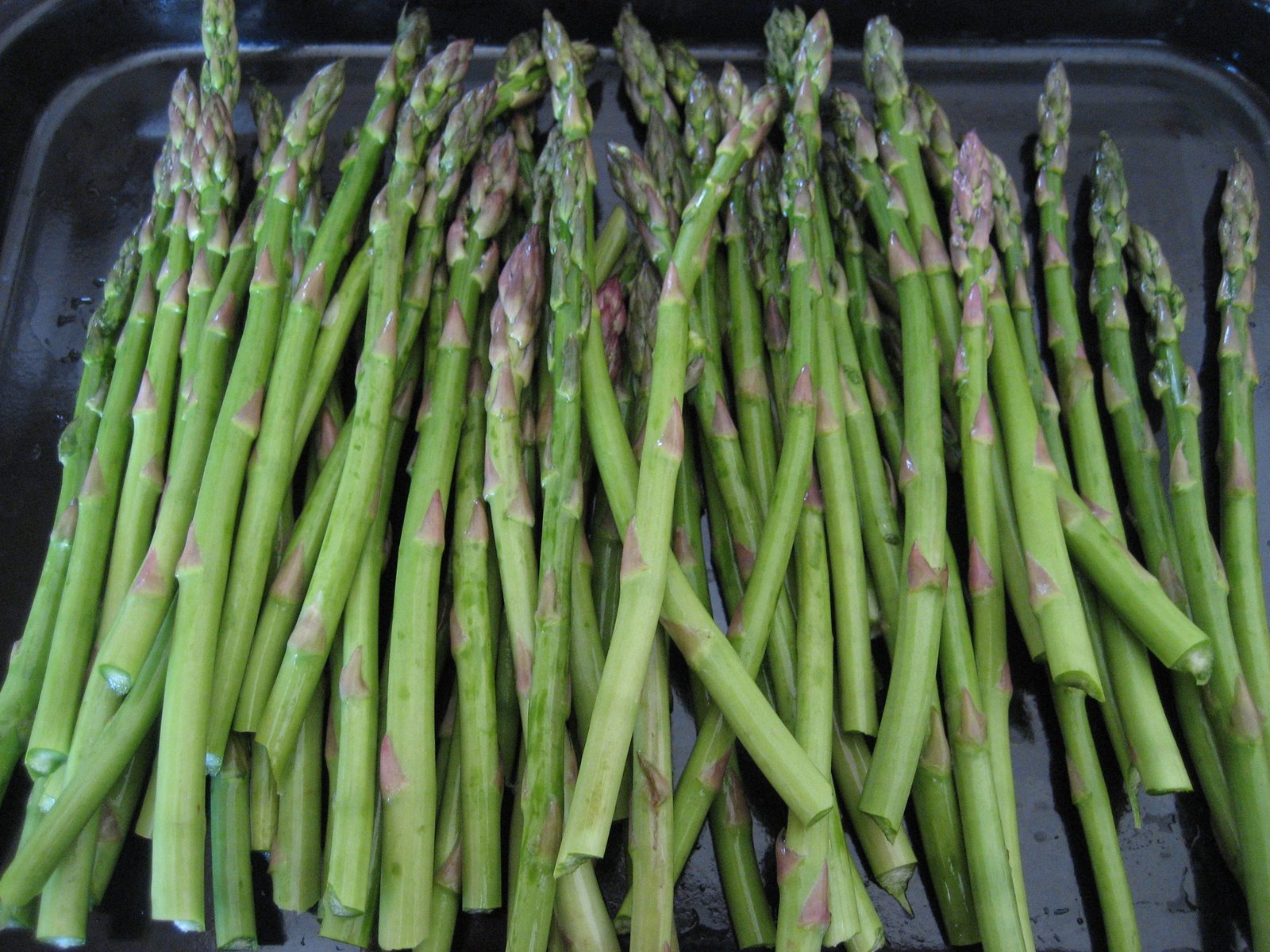 [pie+by+the+yard+131.jpg]