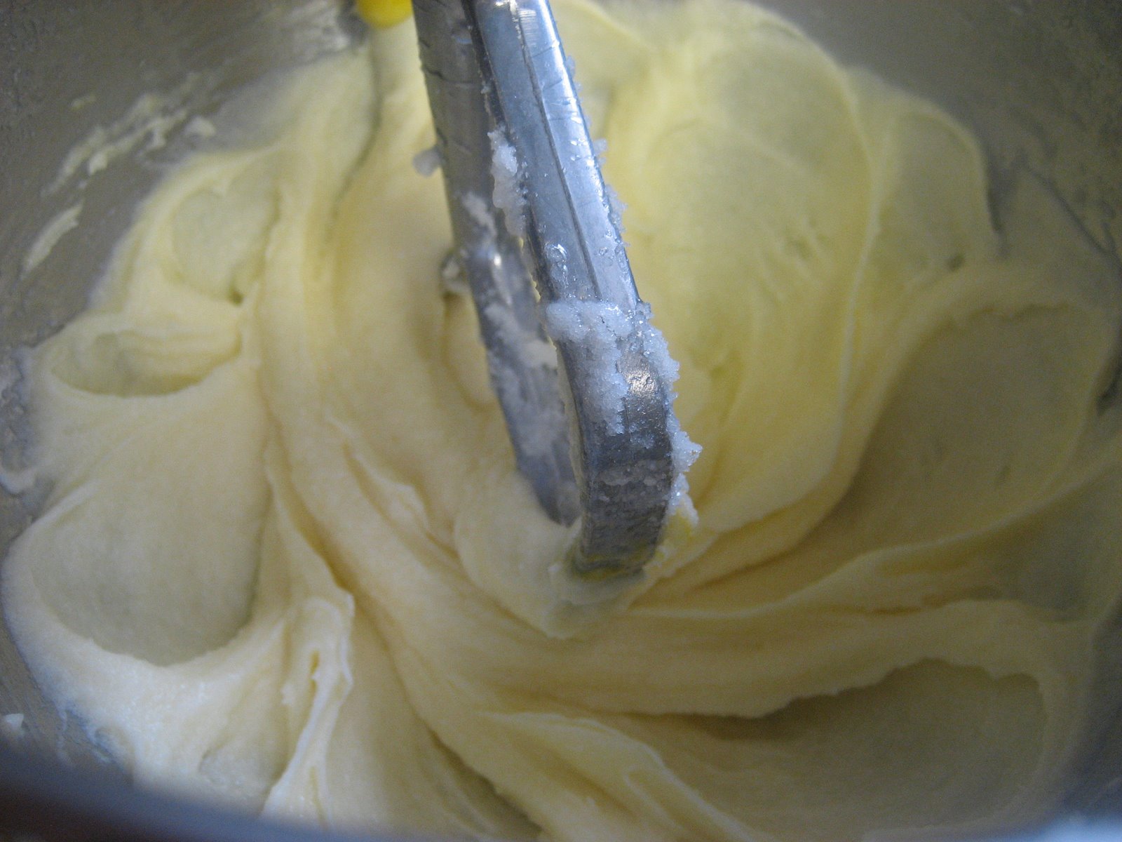 [giadas+cookies+002.JPG]