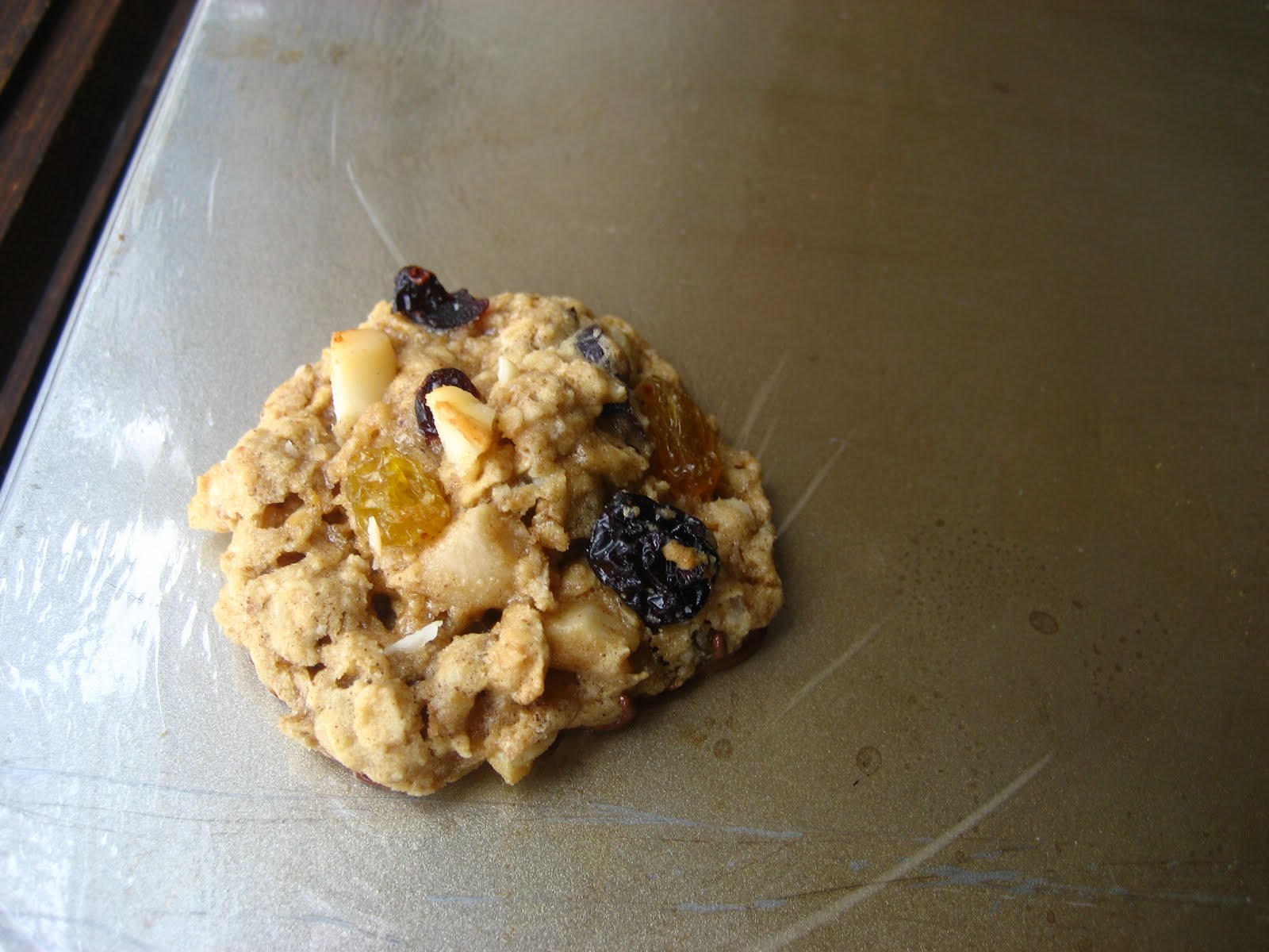 [starbucks+oatmeal+cookie+026.JPG]