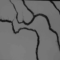 tree lines 2