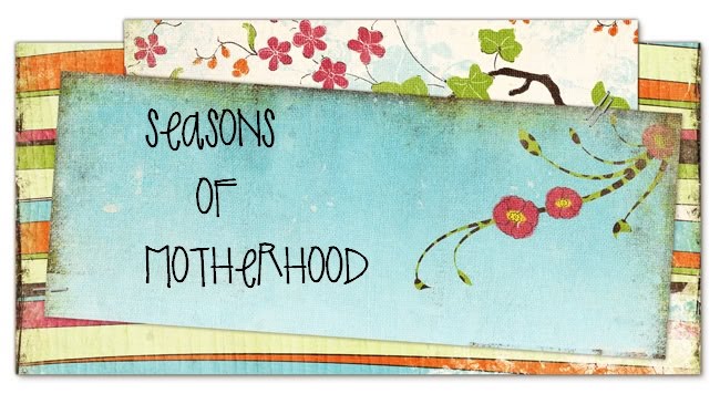 seasons of motherhood