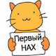 Моя фотография