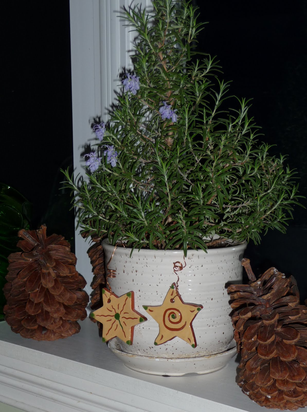 [Christmas+Rosemary+Tree.jpg]