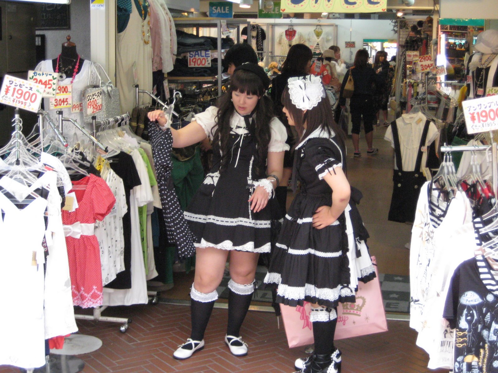 [IMG_0422.JPG]